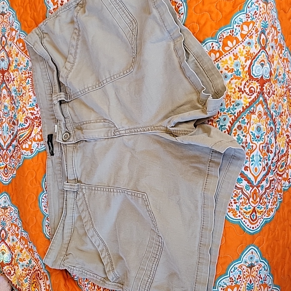 Size 18W Shorts